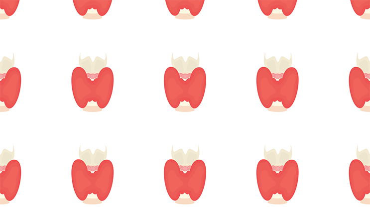 Repeating 2D color graphic of the thyroid.