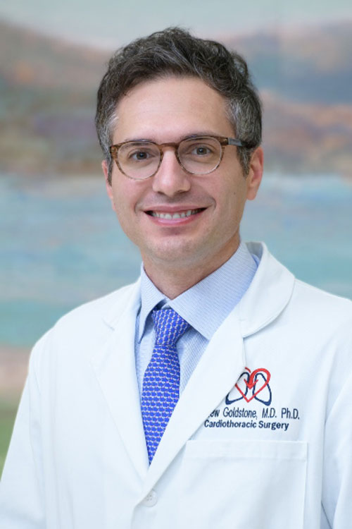 Profile image of Andrew B. Goldstone, M.D.,Ph.D.