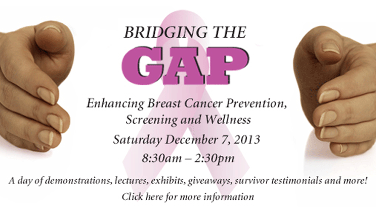 Banner: Bridging the Gap: Enhancing Breast Cancer Prevention, Screening and Wellness 