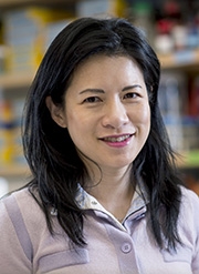 Dr June Wu