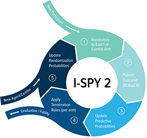 Graphic and information courtesy of I-SPY Consortium.